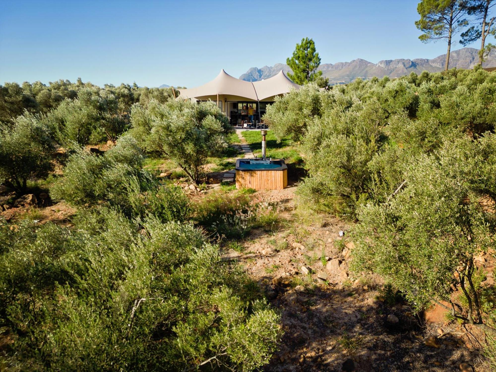 Wagyu Mountain Lodge Paarl Esterno foto