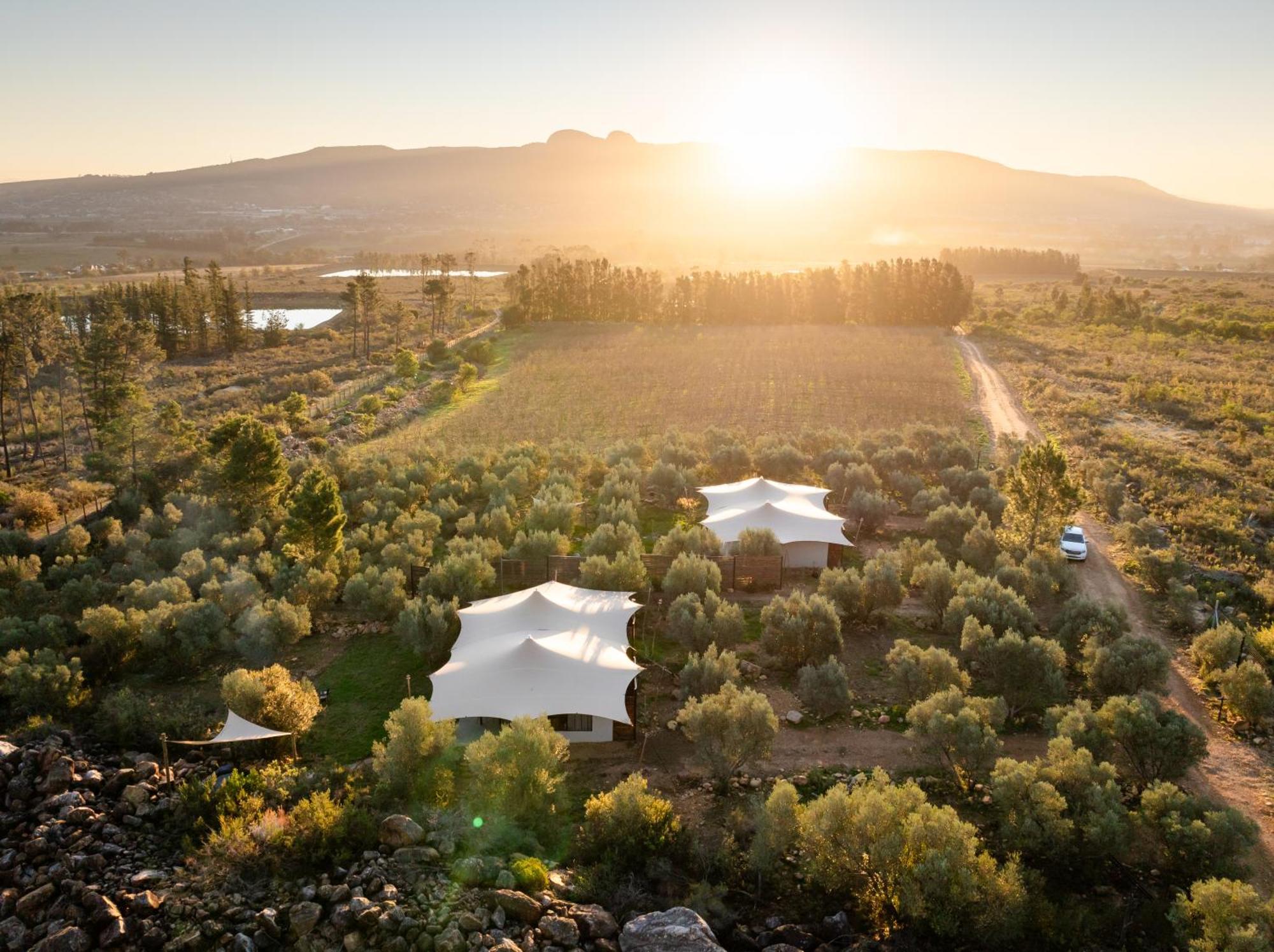 Wagyu Mountain Lodge Paarl Esterno foto