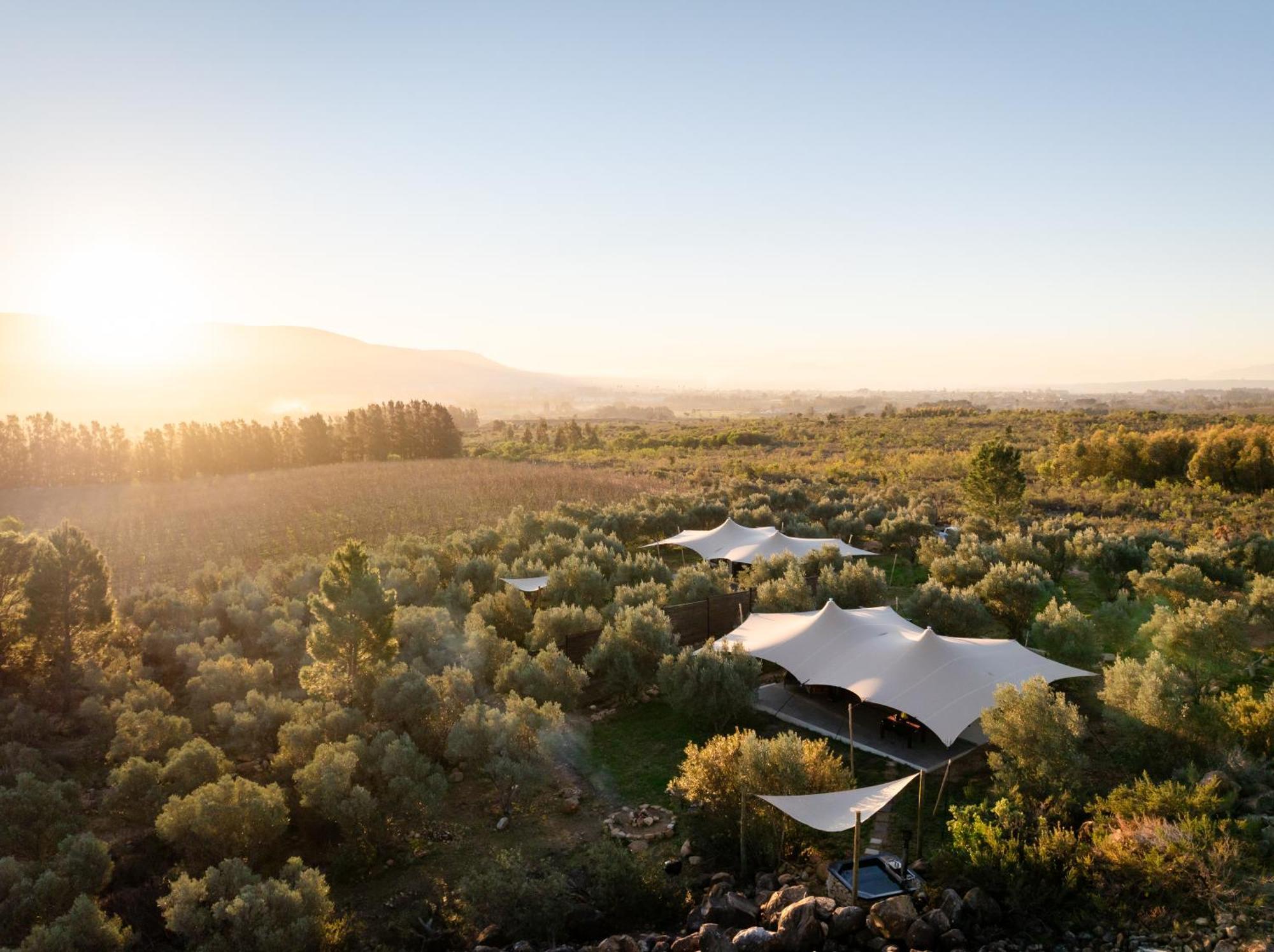Wagyu Mountain Lodge Paarl Esterno foto